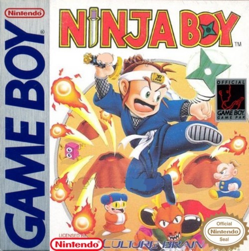 Ninja Boy