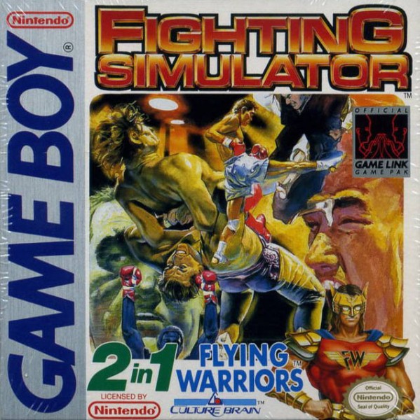 Fighting Simulator: 2-in-1 Flying Warriors